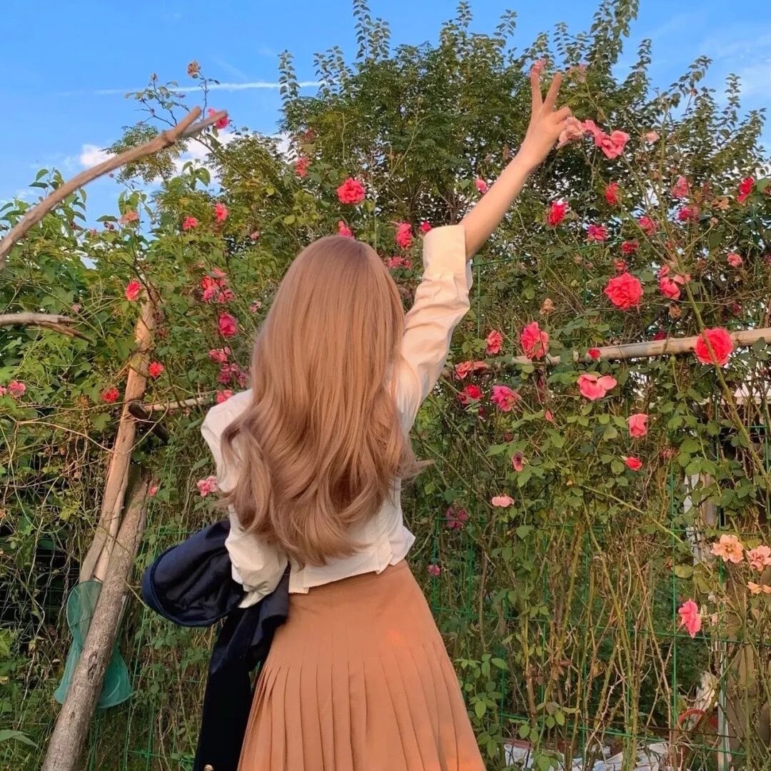 拔作岛THE ANIMATION